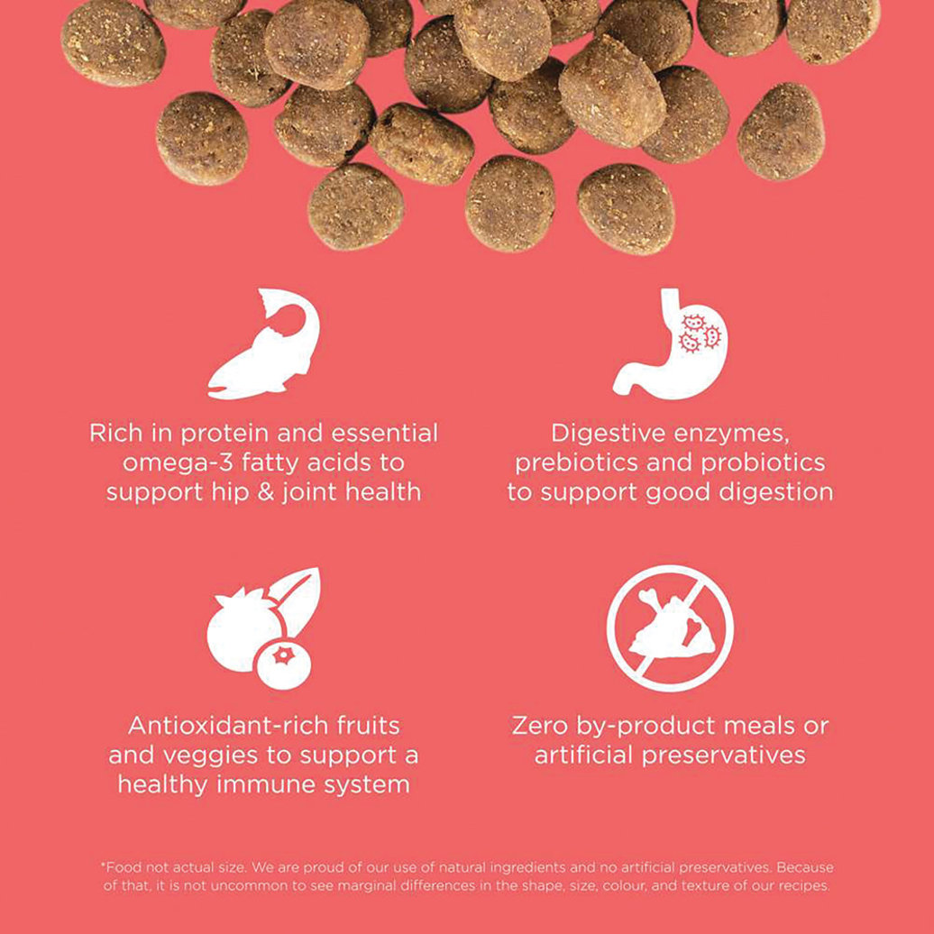View larger image of GO! SOLUTIONS, CARNIVORE Grain Free Salmon + Cod Recipe for dogs