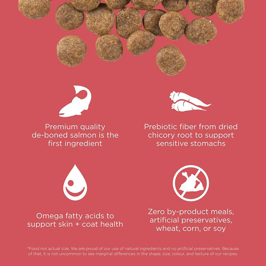 View larger image of SENSITIVITIES Limited Ingredient Grain Free Salmon Recipe for dogs