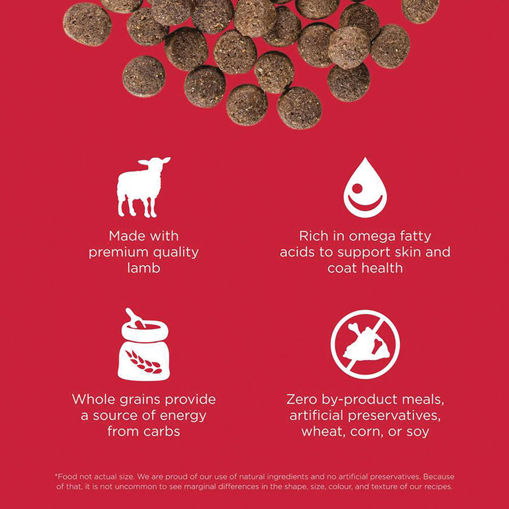View larger image of SKIN + COAT CARE Lamb Recipe for dogs