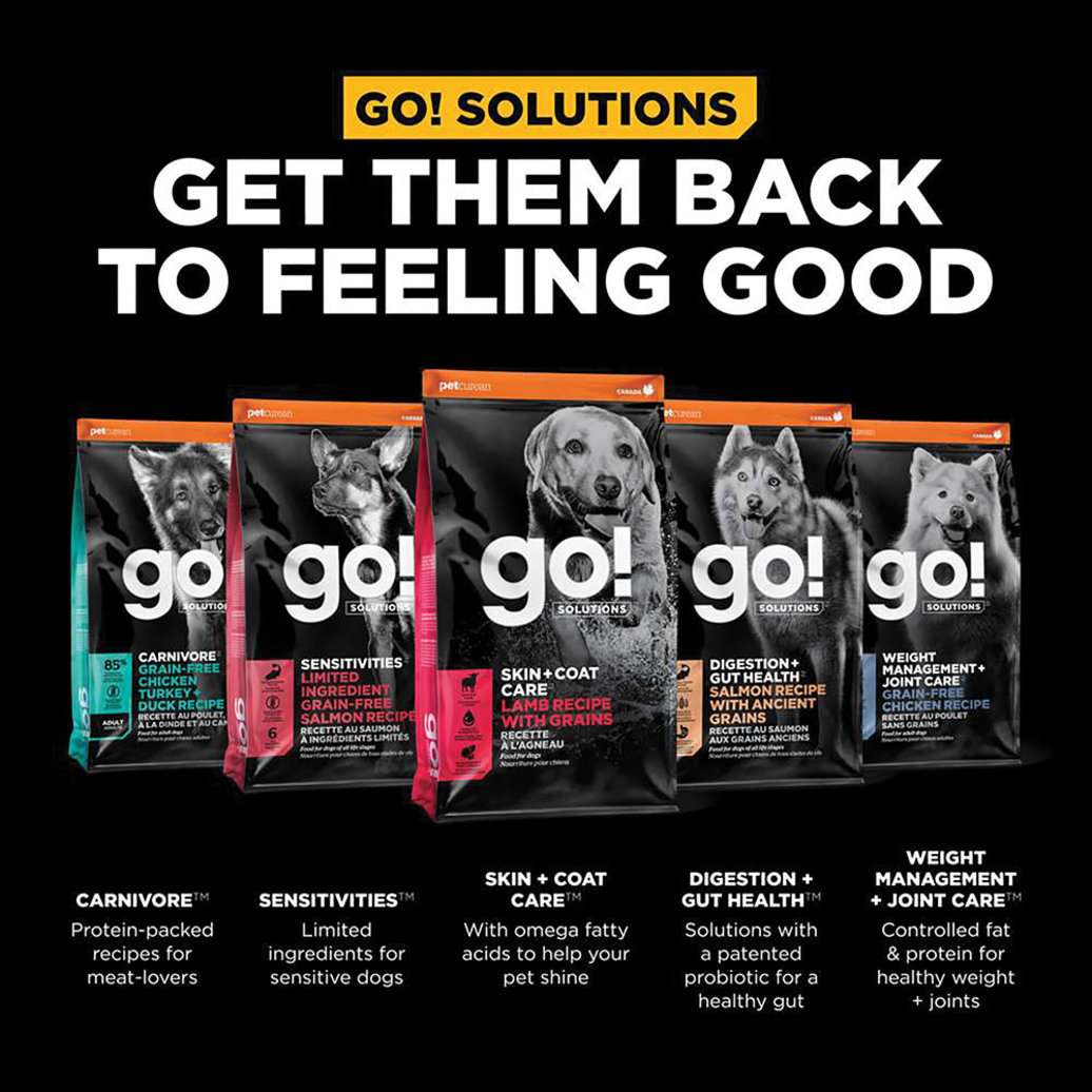 View larger image of GO! SOLUTIONS, SKIN + COAT CARE Lamb Recipe for dogs