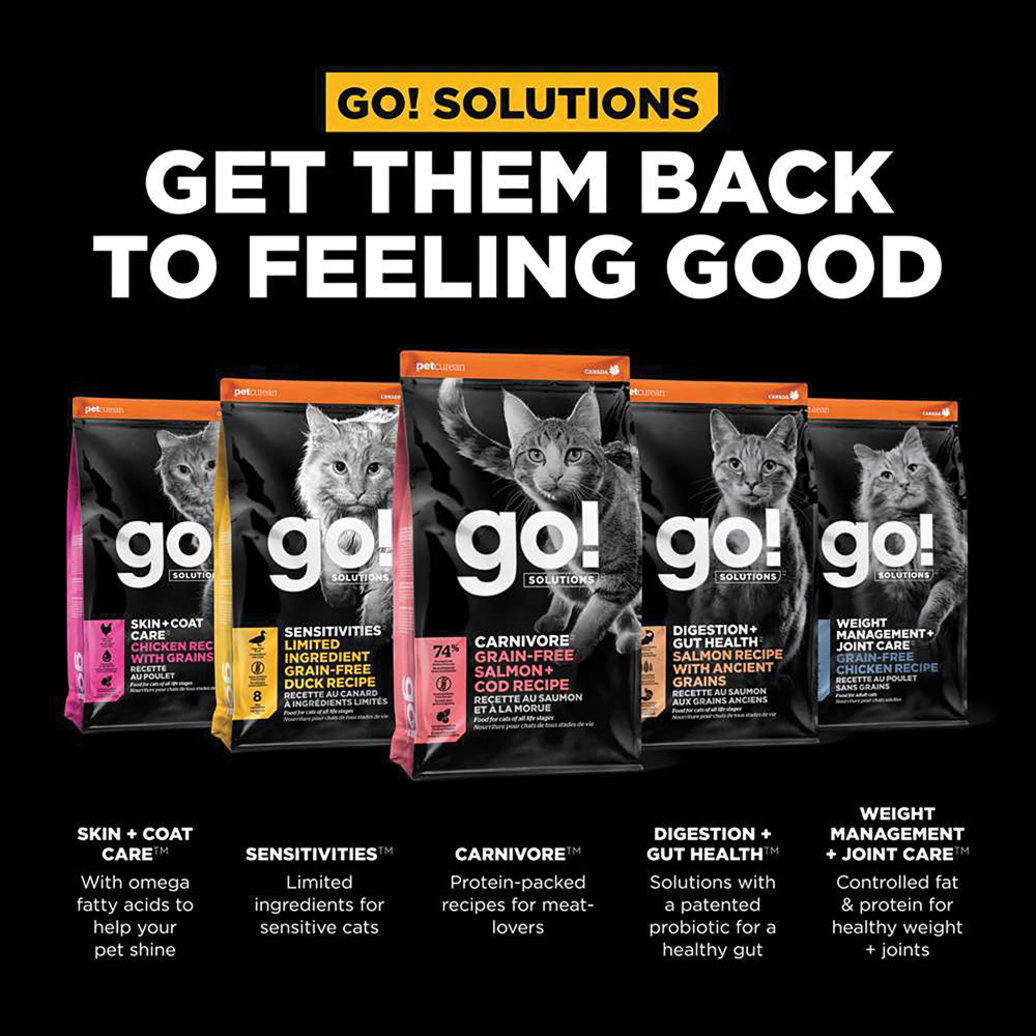 View larger image of GO! SOLUTIONS, CARNIVORE Grain Free Salmon + Cod Recipe for cats