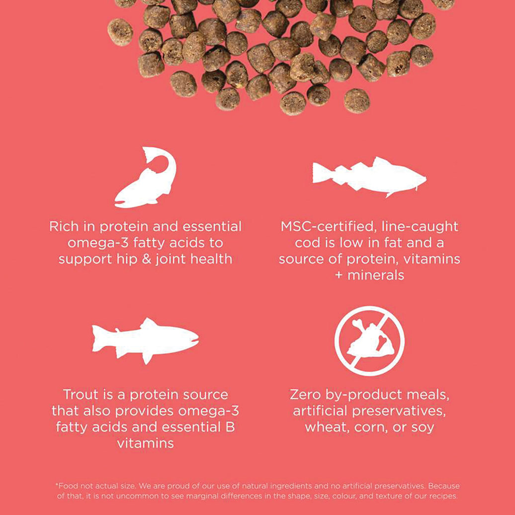 View larger image of GO! SOLUTIONS, CARNIVORE Grain Free Salmon + Cod Recipe for cats