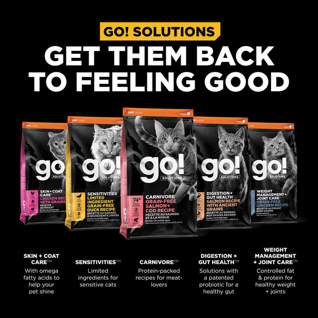 View larger image of GO! SOLUTIONS, CARNIVORE Grain Free Salmon + Cod Recipe for cats