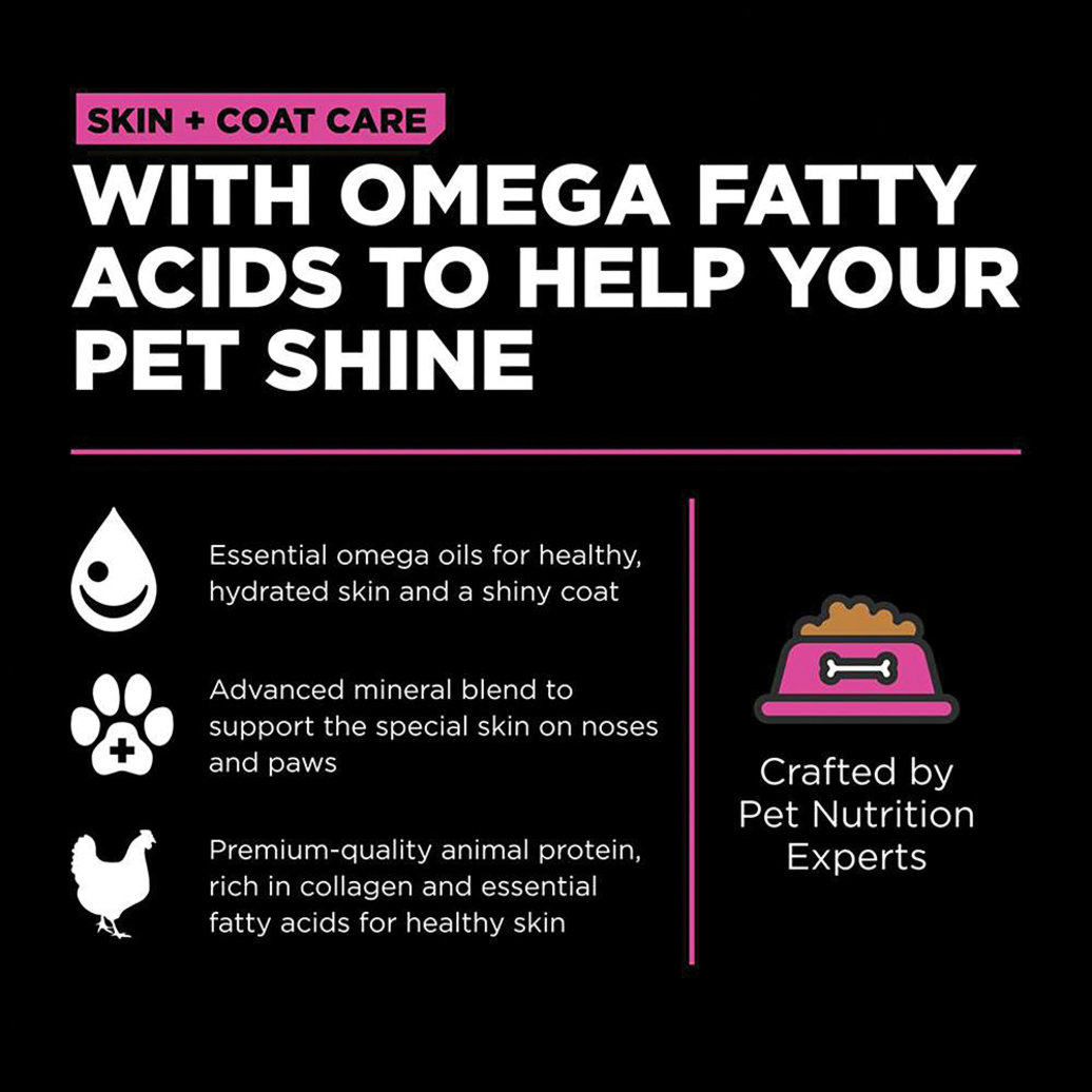 View larger image of GO! SOLUTIONS, SKIN + COAT CARE Chicken Recipe for cats
