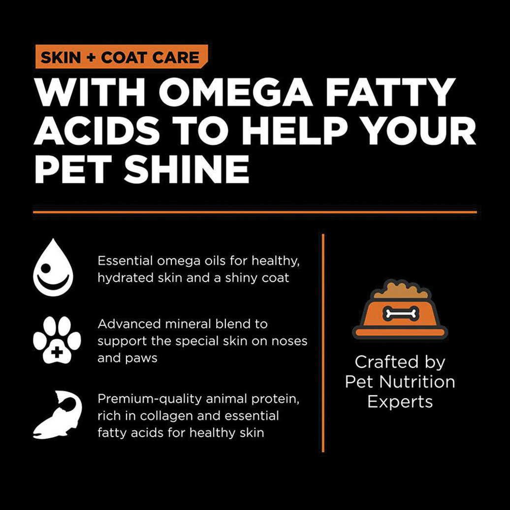 View larger image of GO! SOLUTIONS, SKIN + COAT CARE Grain Free Salmon Recipe for cats