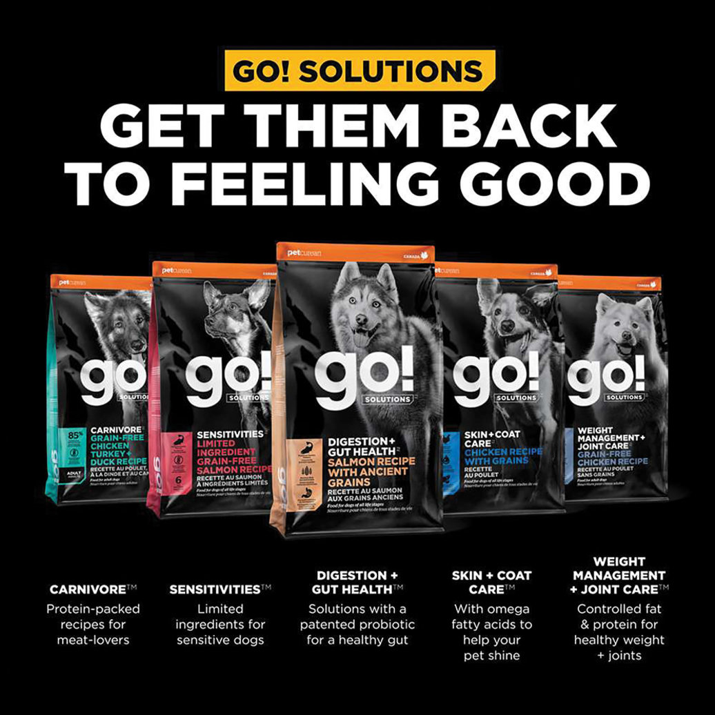 View larger image of GO! SOLUTIONS, Adult - Digestion & Gut Health - Salmon w/ Ancient Grains