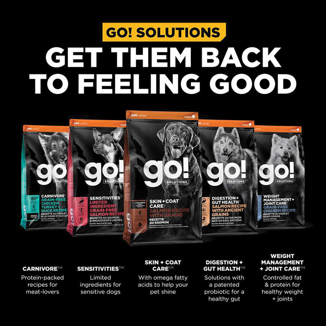 View larger image of GO! SOLUTIONS, Adult LB - Skin & Coat w/ Grains - Salmon