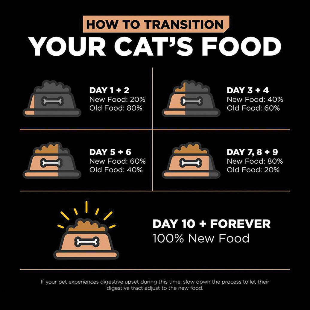 View larger image of GO! SOLUTIONS, Feline Adult - Digestion & Gut Health - Salmon w/ Ancient Grains