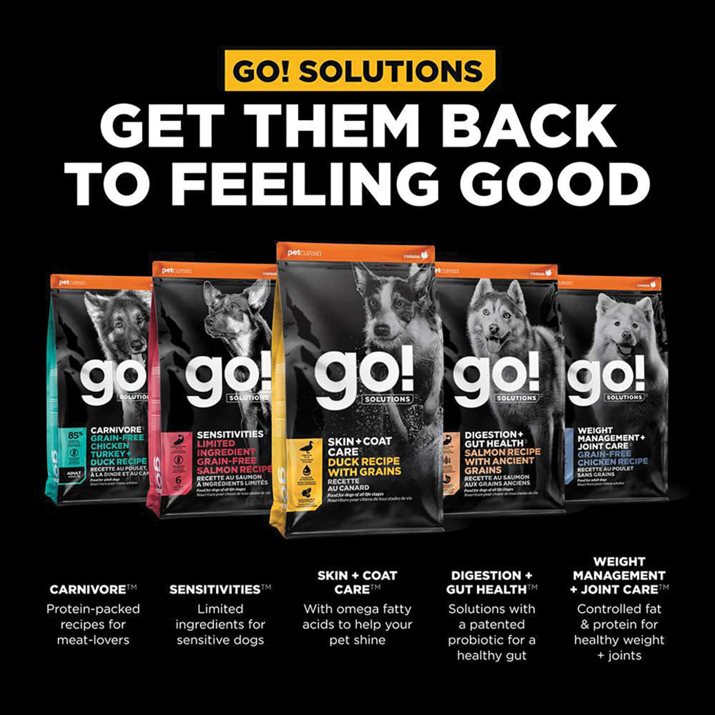 View larger image of GO! SOLUTIONS, SKIN + COAT CARE Duck Recipe with Grains for dogs