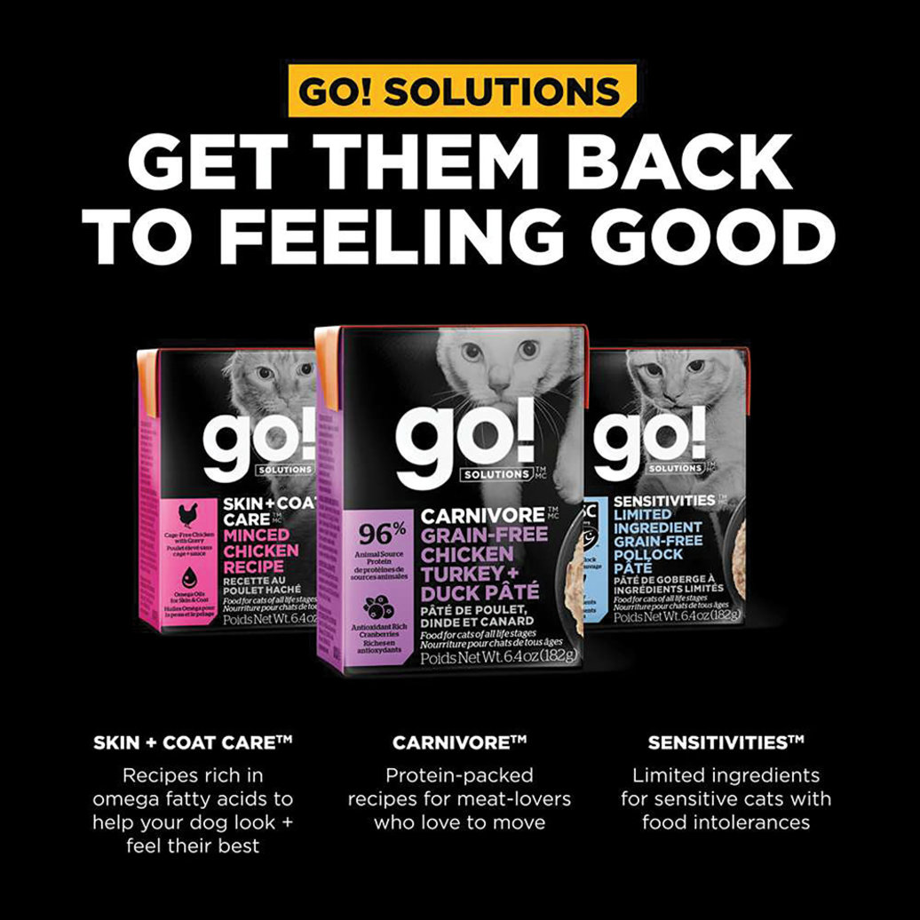 View larger image of GO! SOLUTIONS, CARNIVORE Grain Free Chicken, Turkey + Duck Pâté for cats - Wet Cat Food