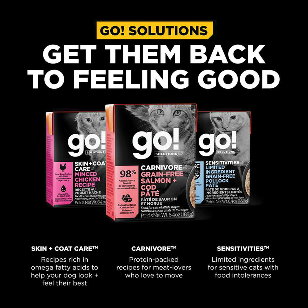 View larger image of GO! SOLUTIONS, CARNIVORE Grain Free Salmon + Cod Pâté for cats - Wet Cat Food
