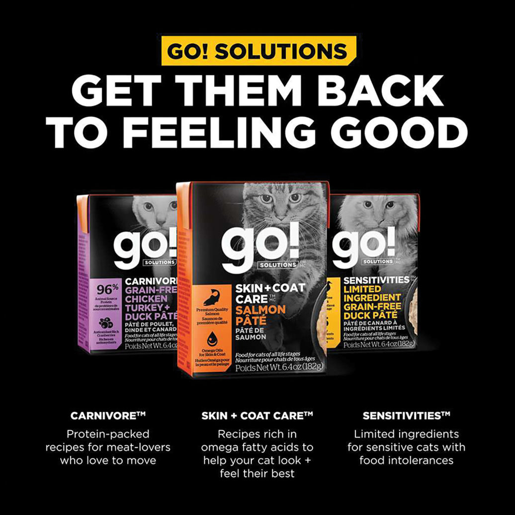 View larger image of GO! SOLUTIONS, SKIN + COAT CARE Salmon Pâté for cats - Wet Cat Food