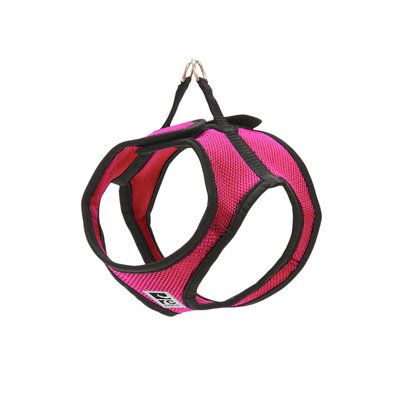 Harness Step In Cirque - Raspberry - Small