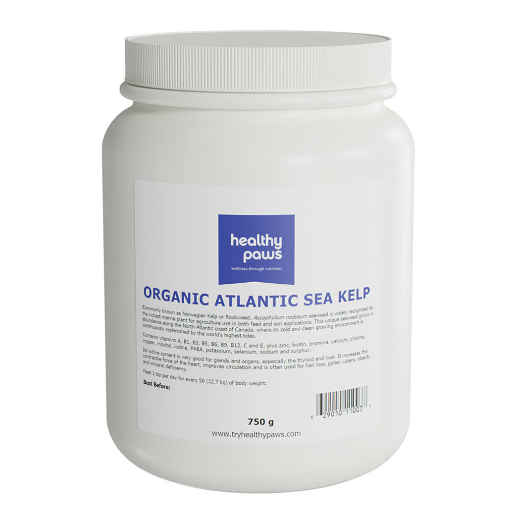 View larger image of Organic Atlantic Sea Kelp - 750 g