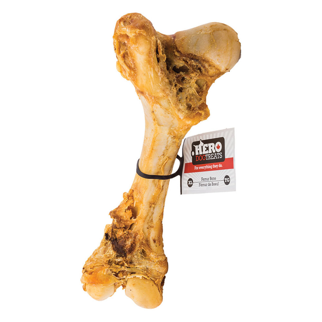 View larger image of Beef Femur Bone Natural - X-Large - 18"