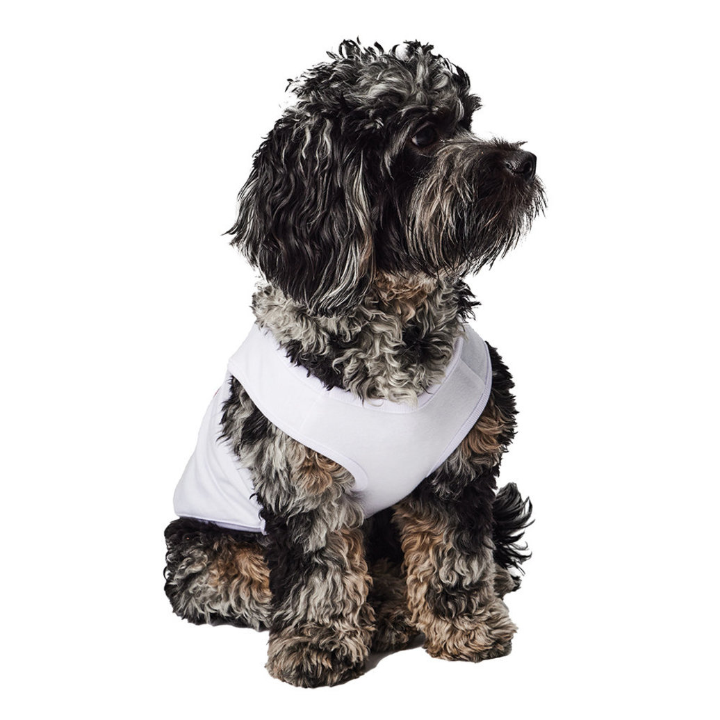 View larger image of Hotel Doggy, Pride Tank - White