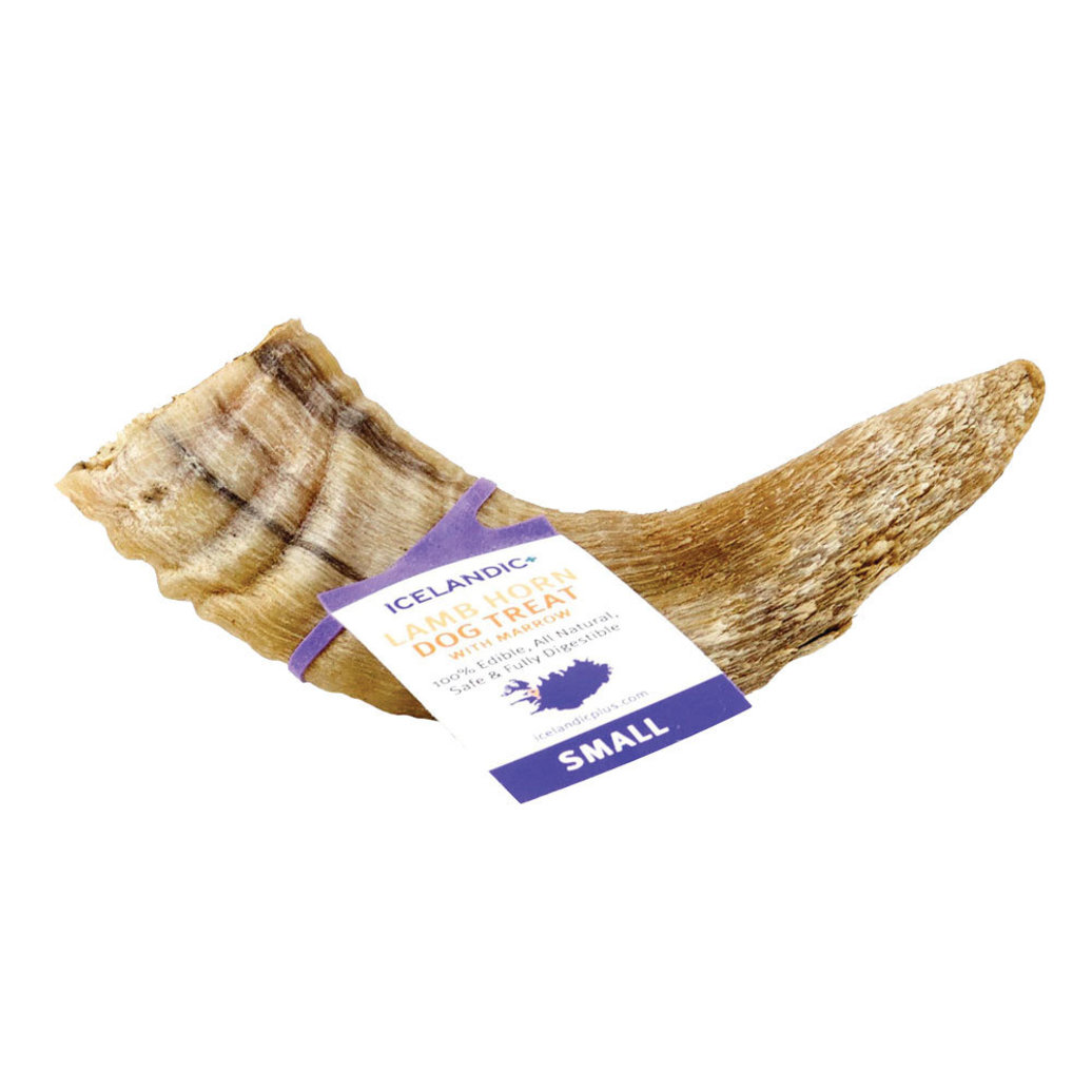 View larger image of Icelandic+, Lamb Horn w/ Marrow - Small - 4-4.7"