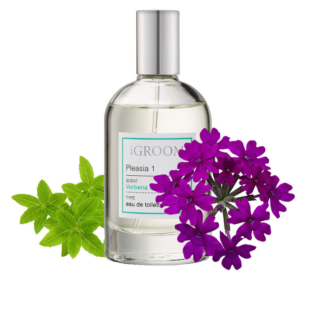 View larger image of iGroom, Pleasia 1 Perfume - 100 ml
