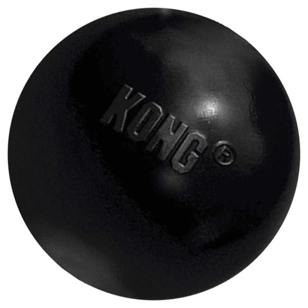 View larger image of KONG, Extreme Ball