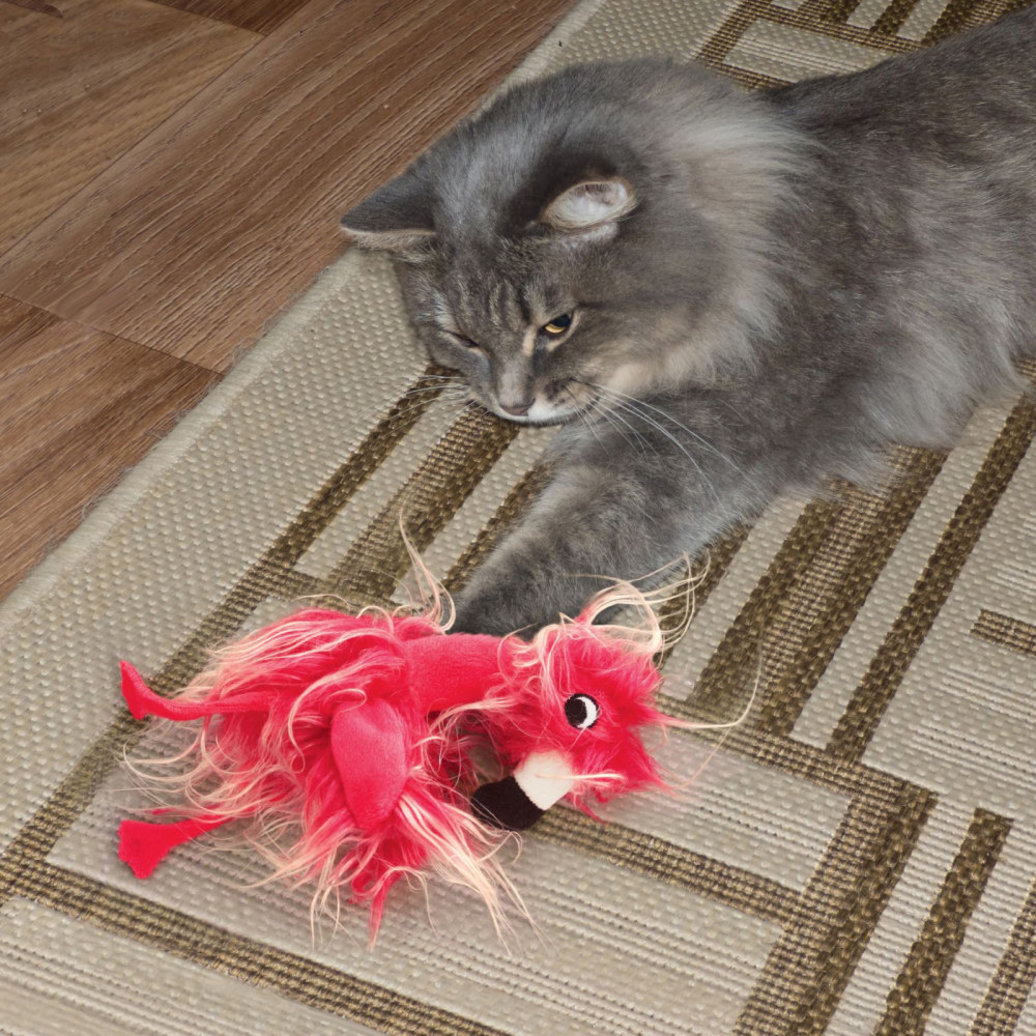 View larger image of KONG, Softies - Frizz Bird - Assorted - Chase Cat Toy