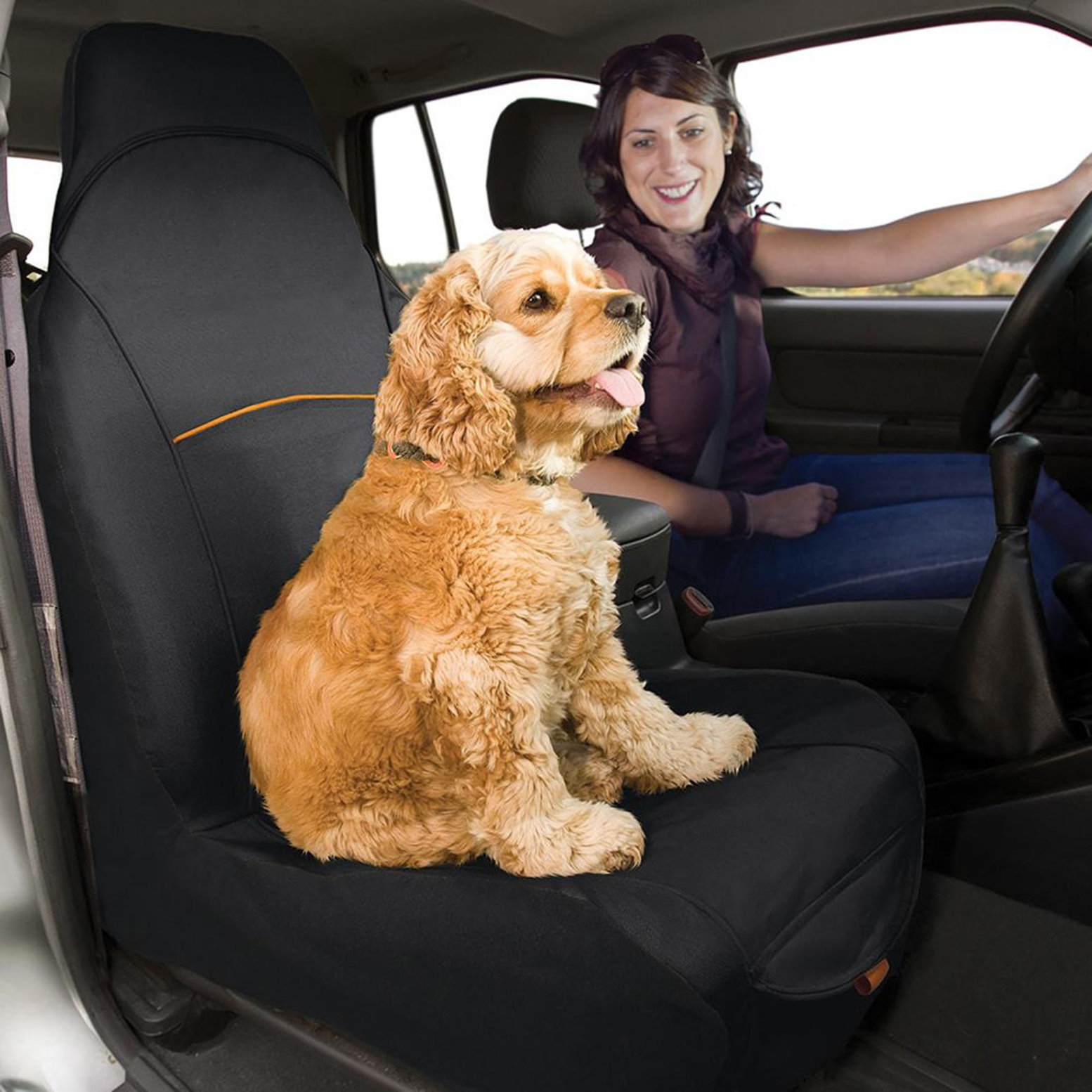 Kurgo dog seat sale