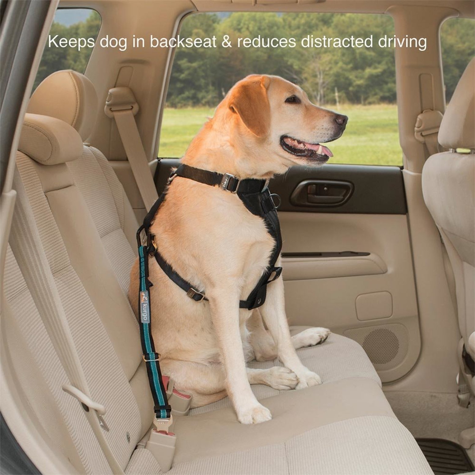 Dog car cheap harness tether