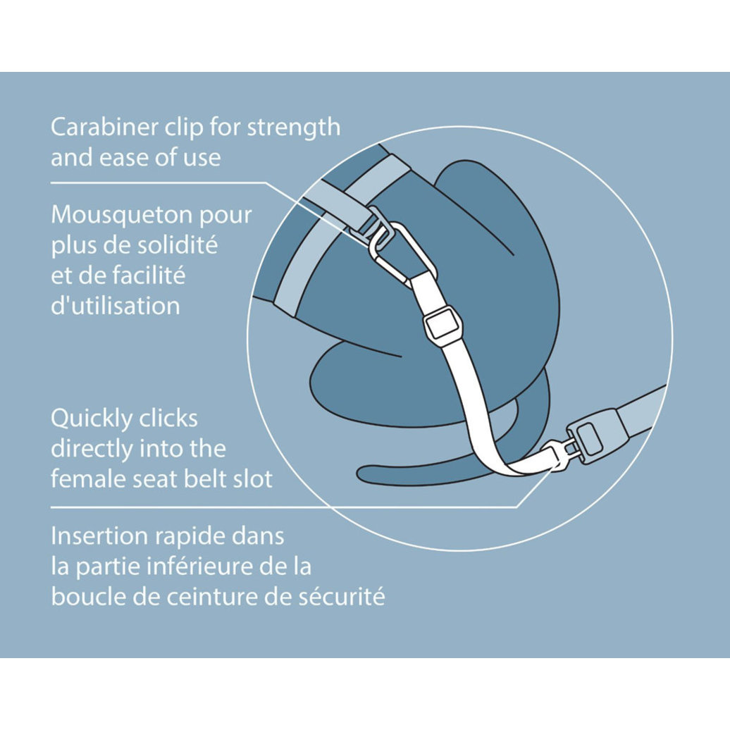 View larger image of Direct To Seatbelt Tether