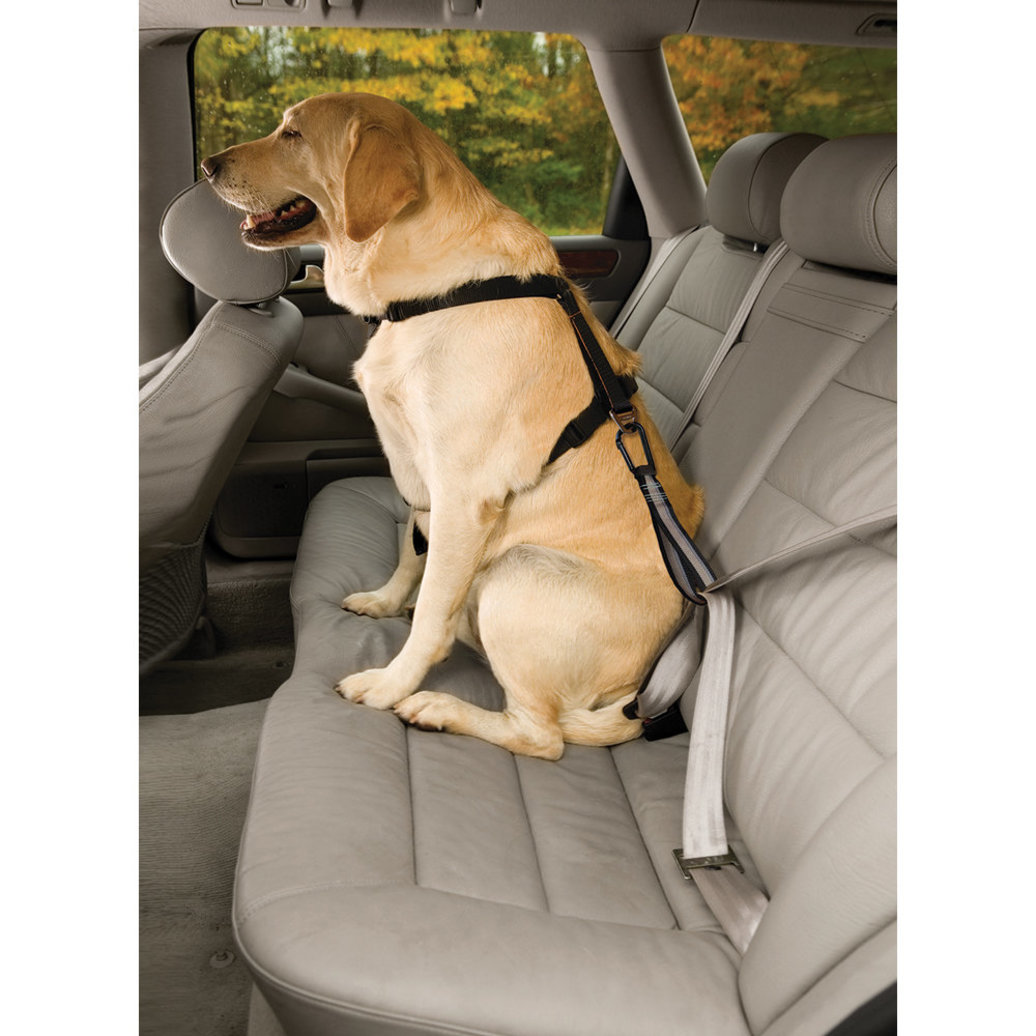 View larger image of Kurgo, Seatbelt Tether with Carabiner
