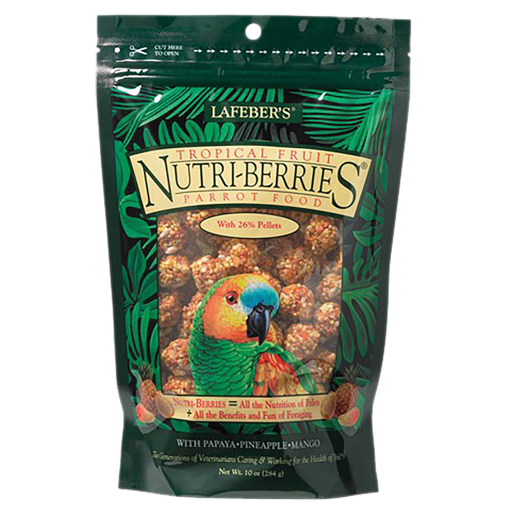 View larger image of Tropical Fruit Nutri-Berries, Parrot - 10 oz
