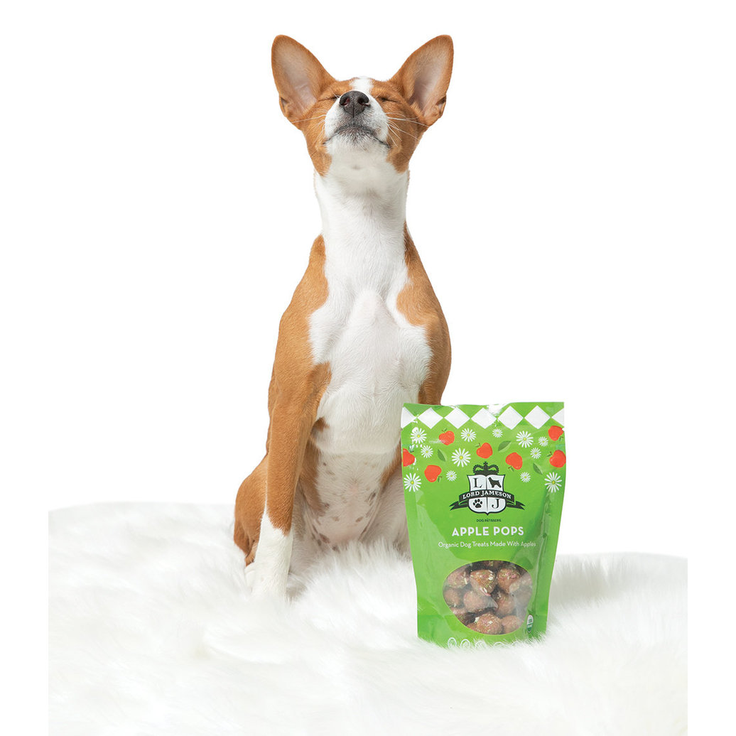 View larger image of Lord Jameson, Apple Pops Organic Dog Treats - 170 g Dog Treats