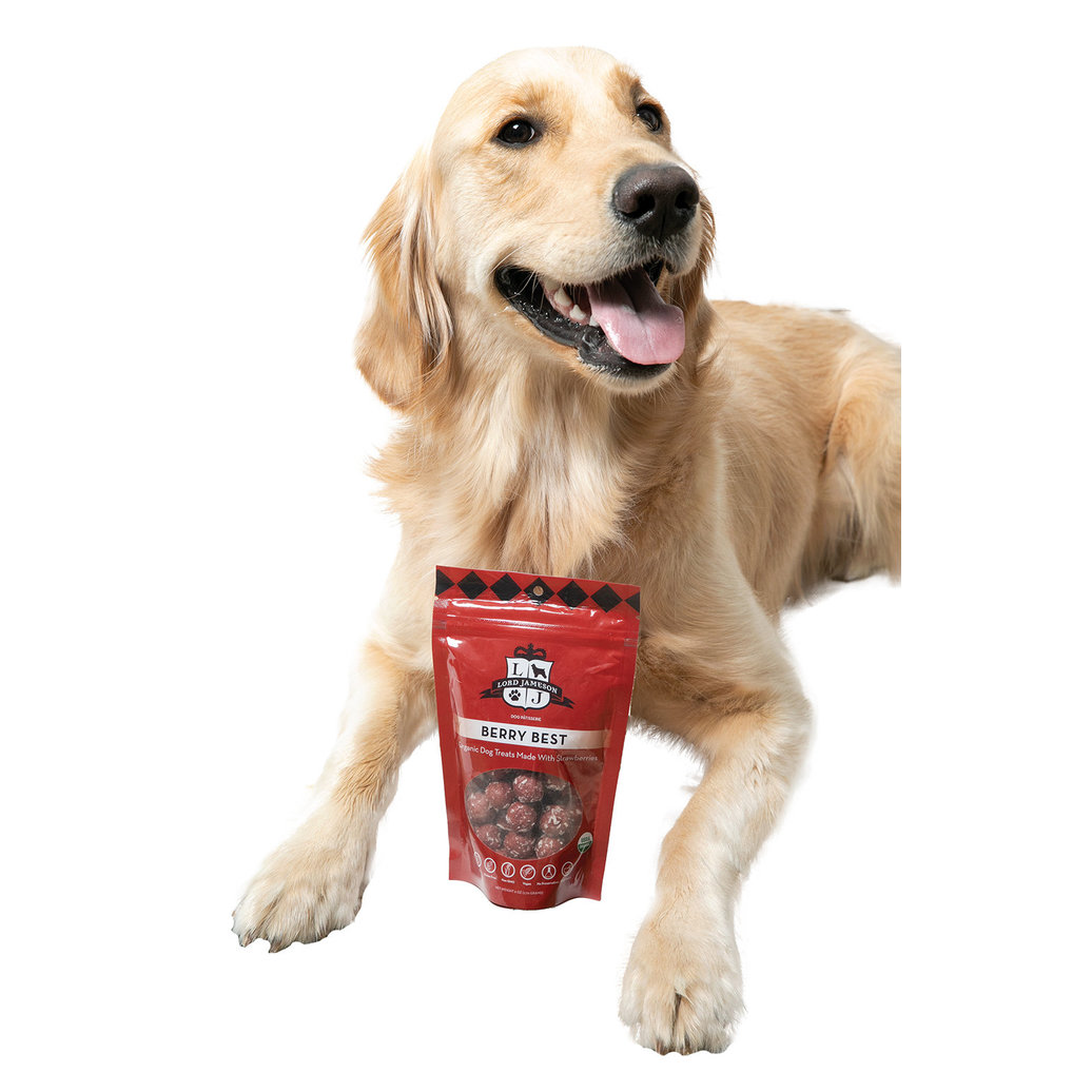 View larger image of Lord Jameson, Berry Best - 170 g Dog Treats