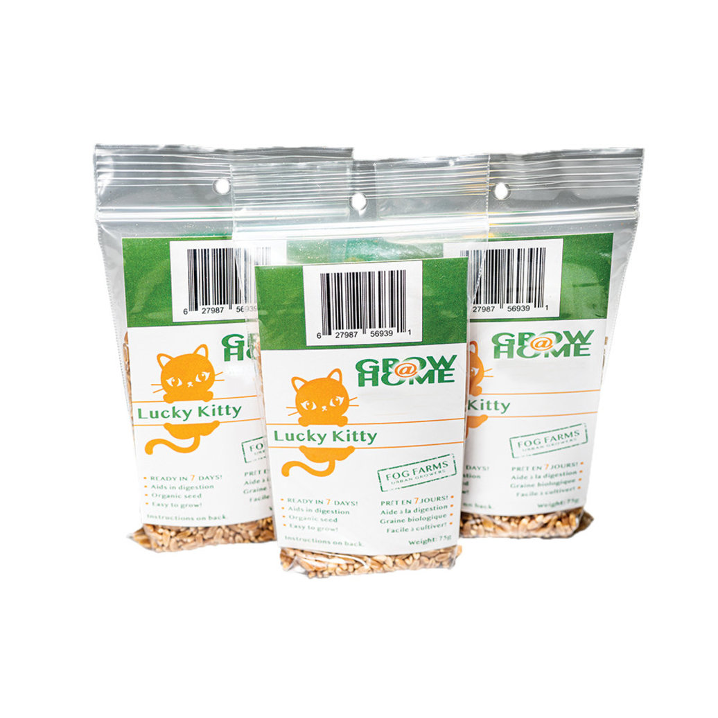 View larger image of Lucky Kitty, Fog Farms - Organic Wheat Grass Seeds