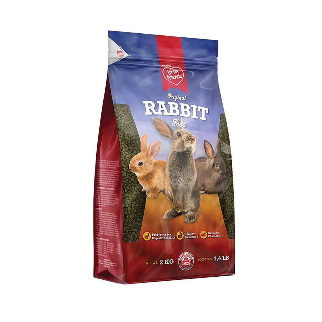 View larger image of Martin Mills, Little Friends, Original Rabbit Food