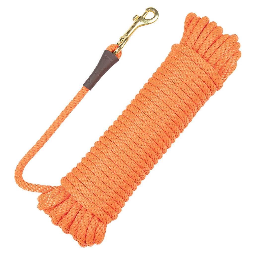 View larger image of Check Cord - Orange - 3/8" Width