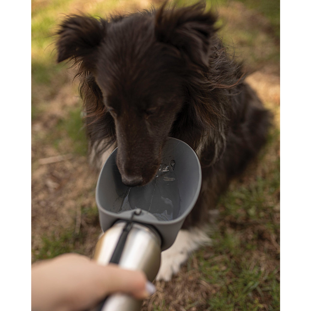 View larger image of Messy Mutts, Stainless Travel Water Bottle with Flip Up Bowl 700ml - Grey