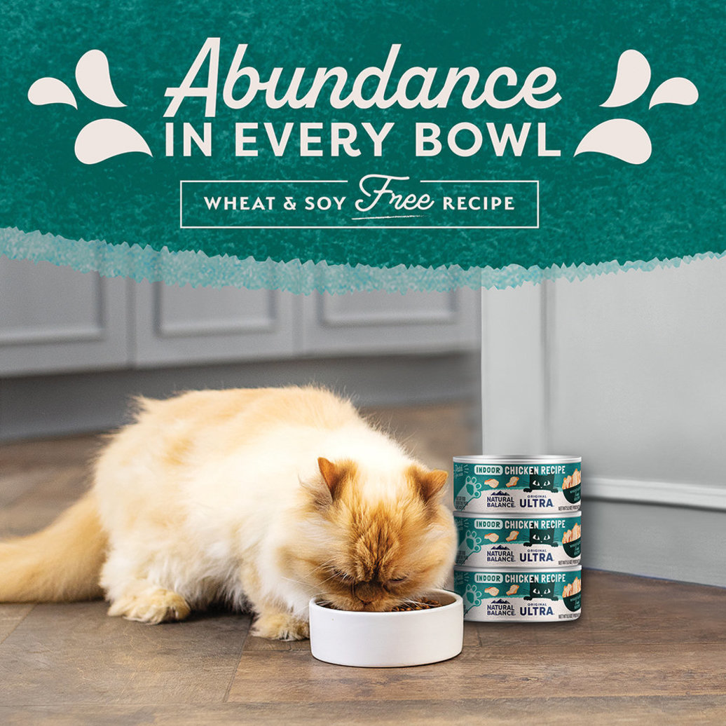 View larger image of Can, Feline Adult - Ultra - Indoor Ckn - 156 g - Wet Cat Food