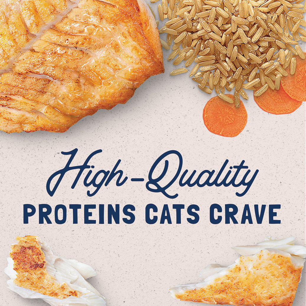 View larger image of Natural Balance, Cat Can Oceanfish  - 5.5 oz - Wet Cat Food