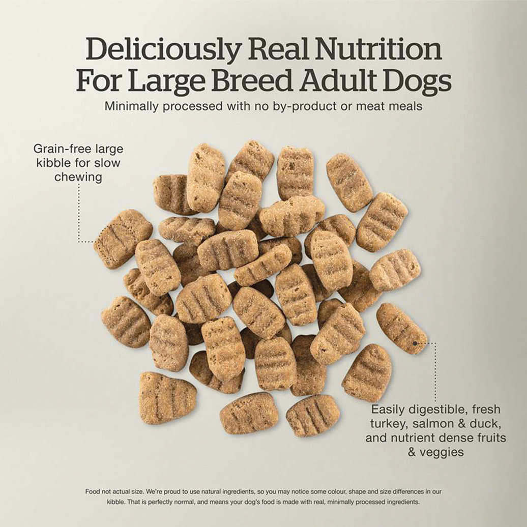 View larger image of NOW FRESH, Adult GF Large Breed - 5.44 kg