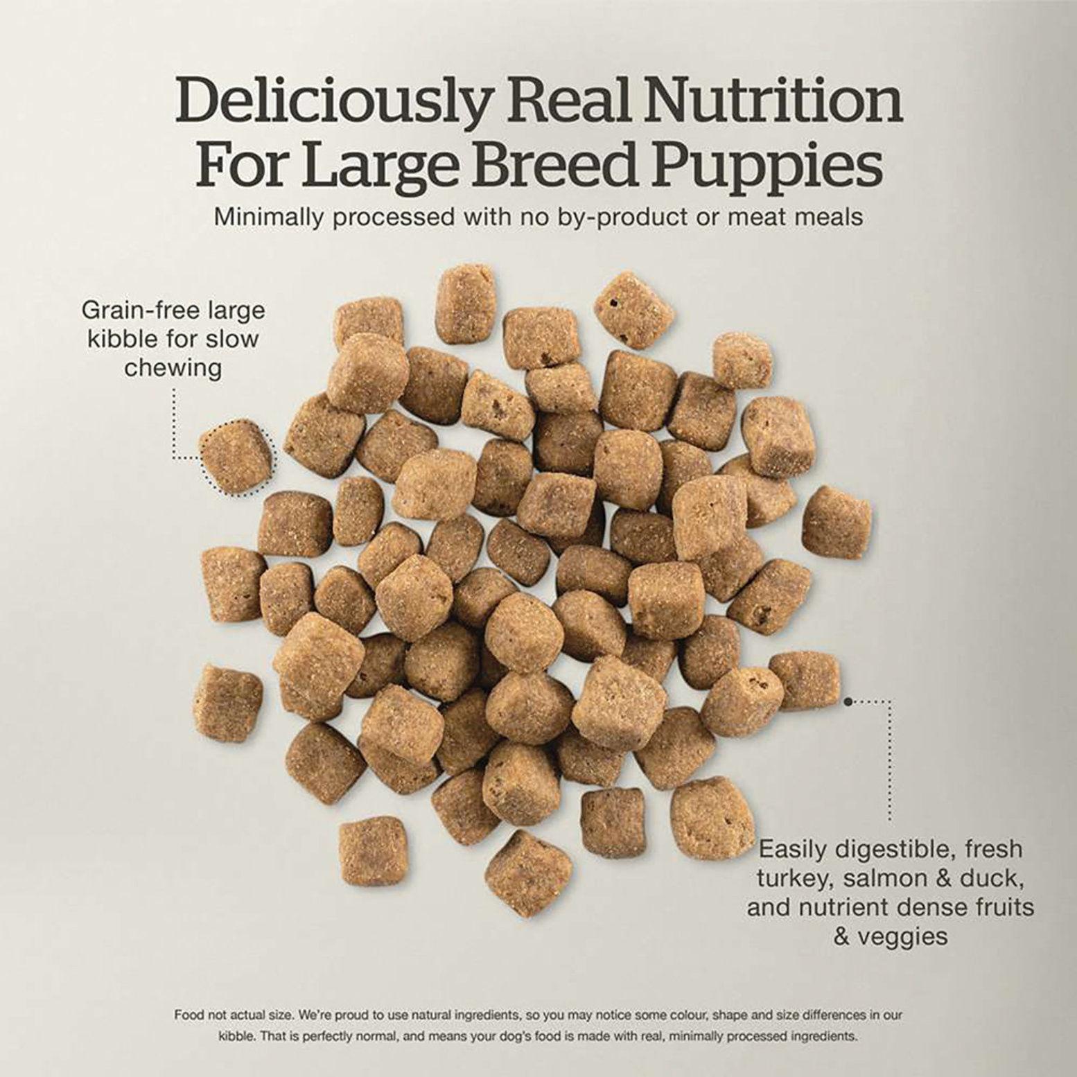 Holistic large breed dog food best sale