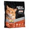 Clumping Cat Litter - 6 kg