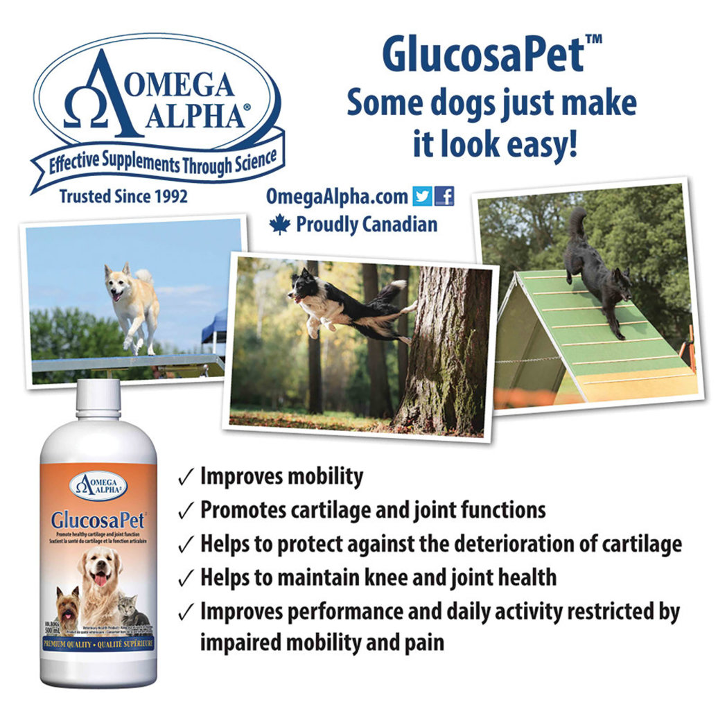 View larger image of Glucosapet - 500 ml