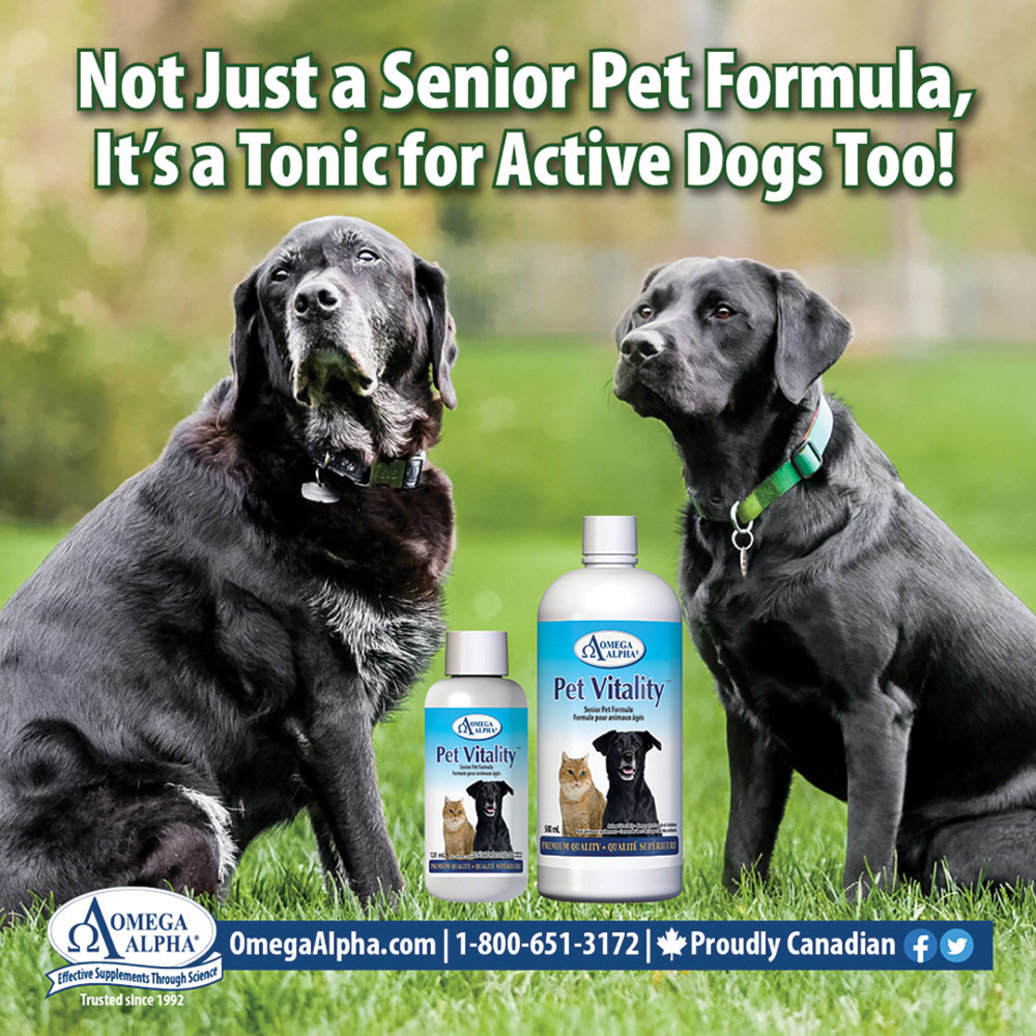View larger image of Pet Vitality - 500 ml