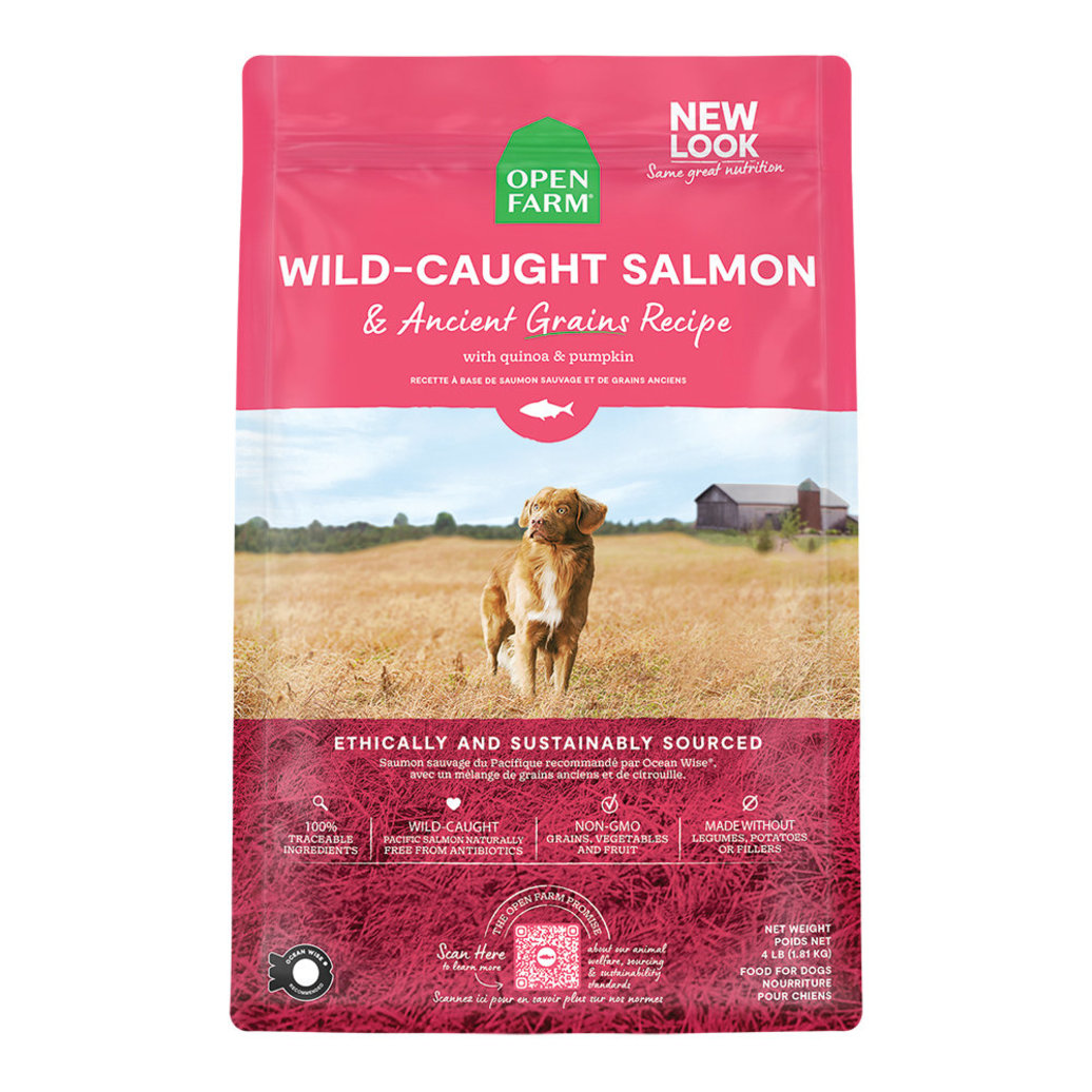 View larger image of Wild Salmon & Ancient Grains Adult Dog Dry Food