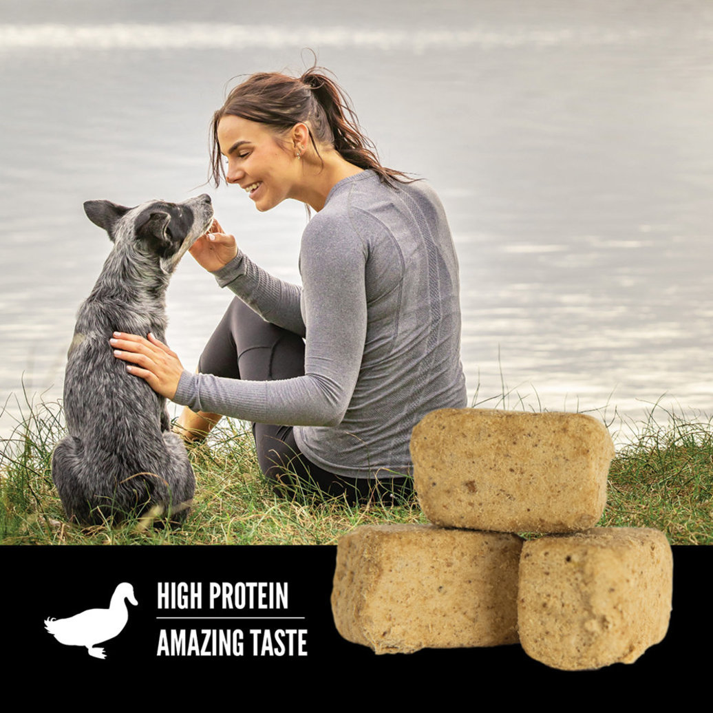 View larger image of Freeze Dried Dog Treat - Free-Run Duck