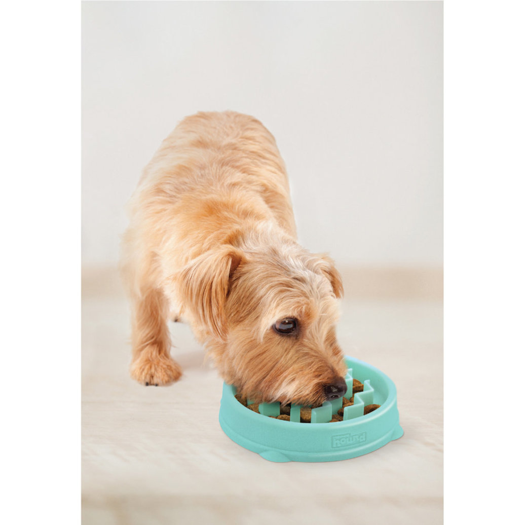 View larger image of Outward Hound, Fun Feeder Wave - Mint - X-Small