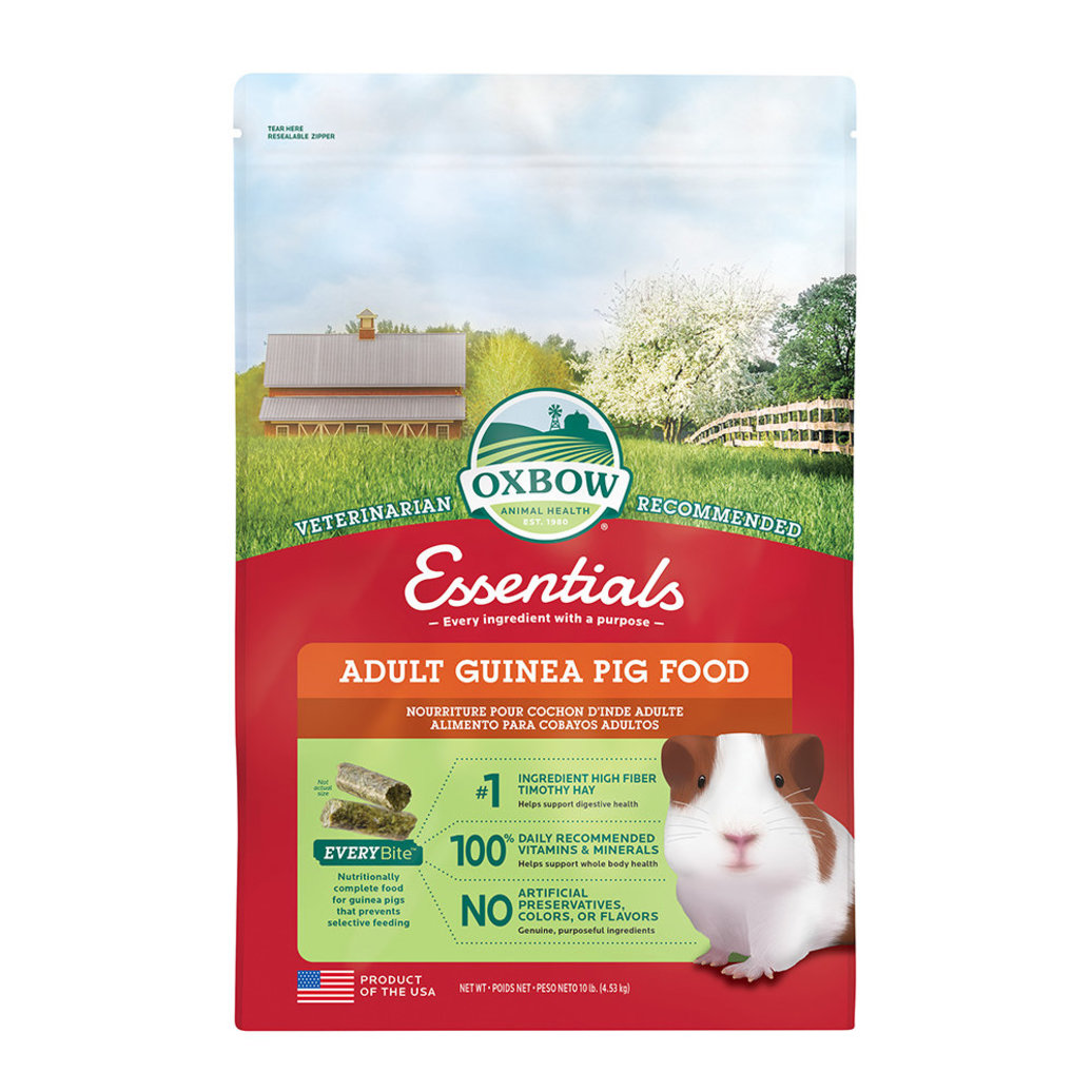View larger image of Essentials, Adult Guinea Pig