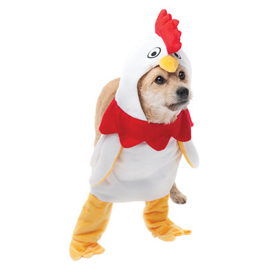 Pet Posse, Walking Chicken