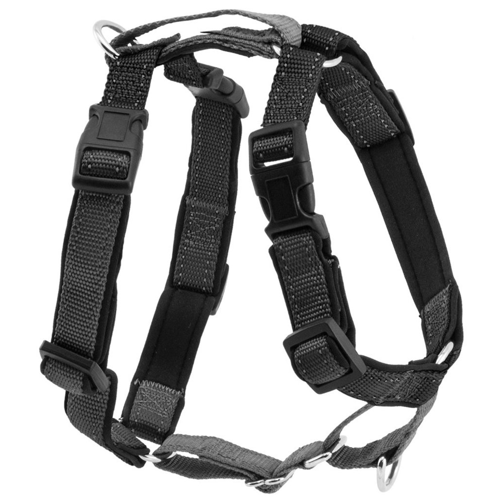 View larger image of 3 In 1 Harness & Car Restraint- Black