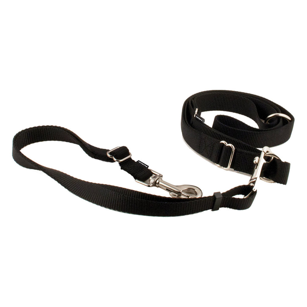 View larger image of Hands-Free Leash - Black
