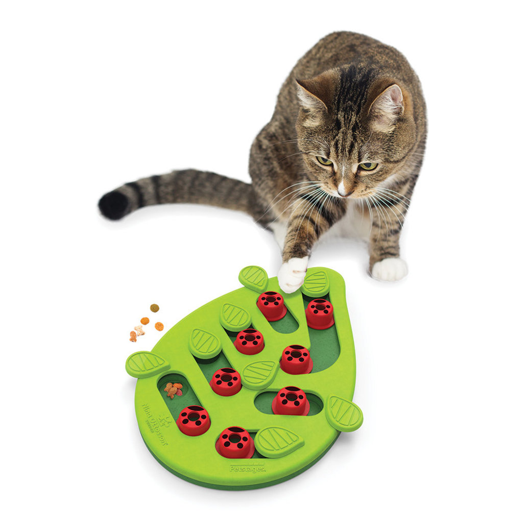 View larger image of PetStages, Puzzle & Play Buggin Out - Green